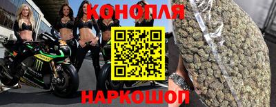 Альфа ПВП Ипатово
