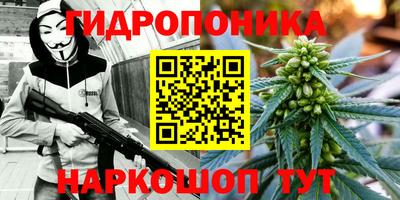 Альфа ПВП Ипатово