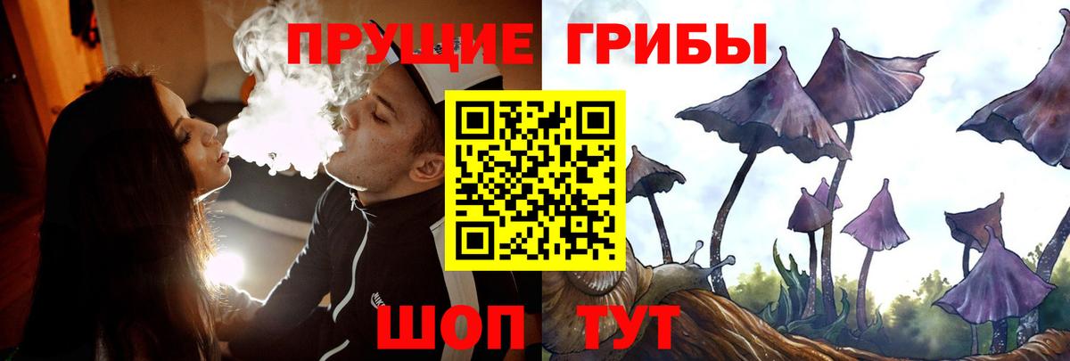 Галлюциногенные грибы прущие грибы Салават